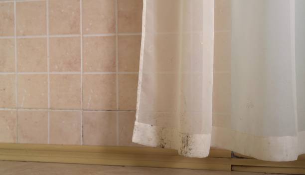 Best Post-Construction Mold Inspection  in Woodbranch, TX