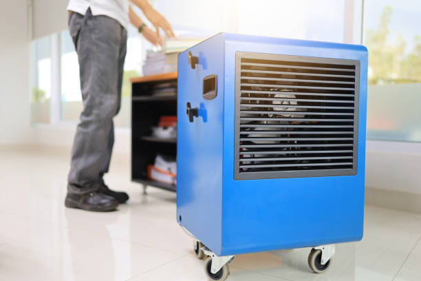 Best Attic Mold Removal  in Woodbranch, TX